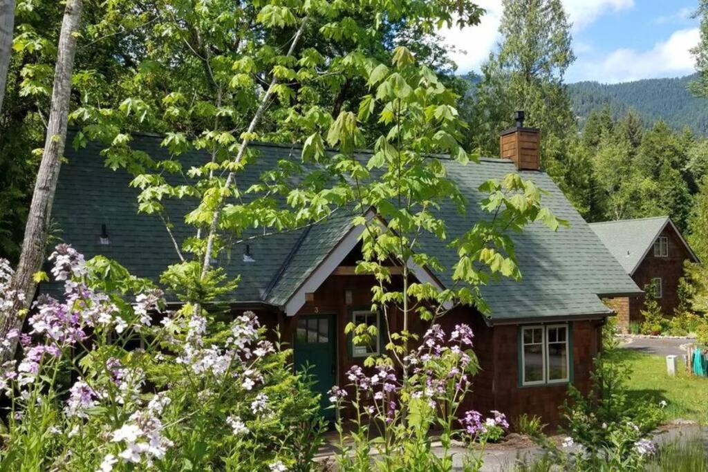 On The River Wooded Bliss Cabin Near Loloma McKenzie Bridge Exterior photo