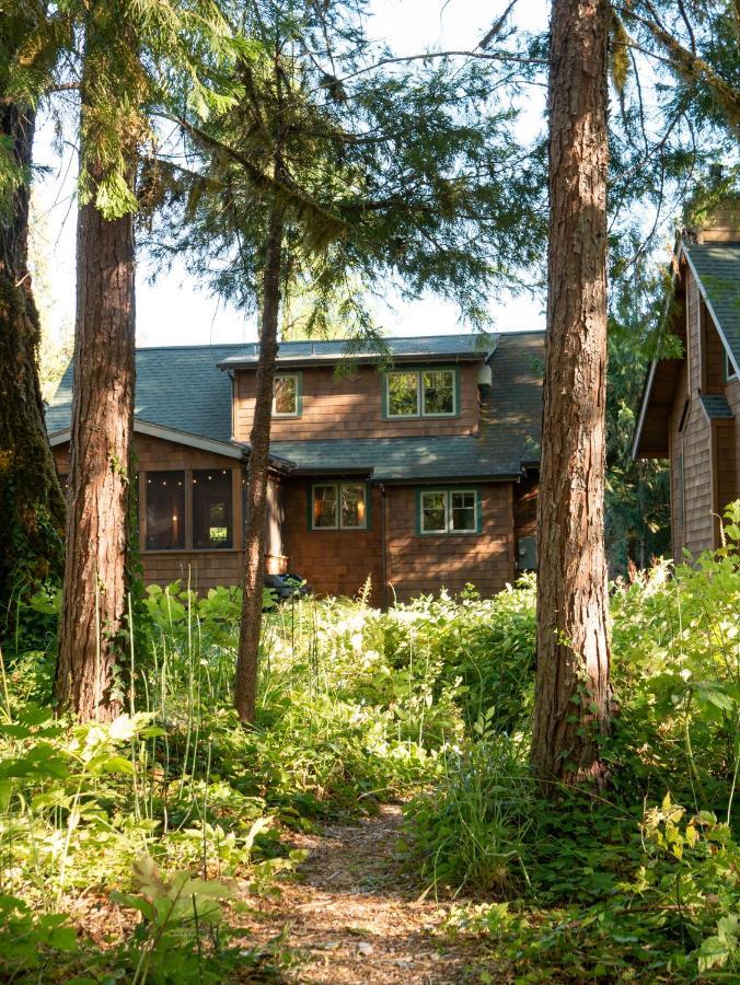 On The River Wooded Bliss Cabin Near Loloma McKenzie Bridge Exterior photo